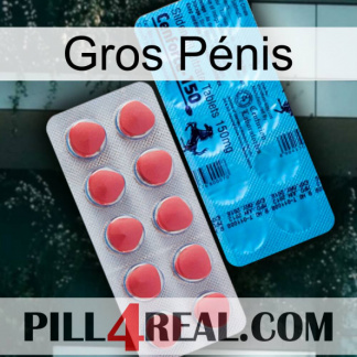 Gros Pénis new14